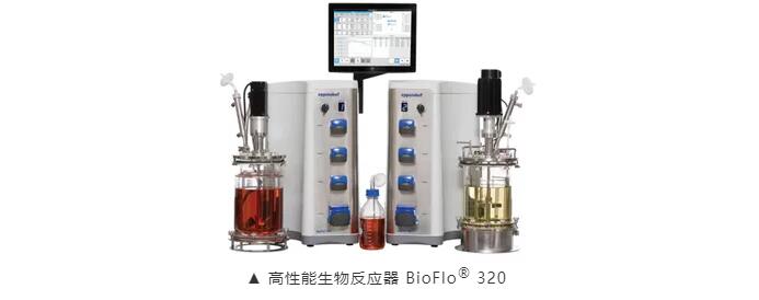 邊治療邊上場比賽？干細(xì)胞療法有助延長運(yùn)動(dòng)員職業(yè)生涯