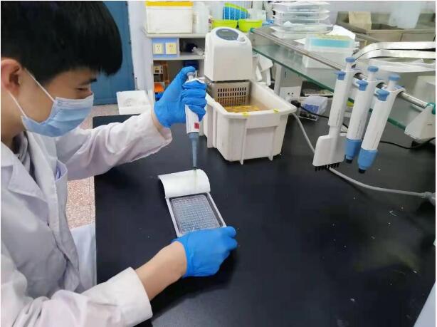 高考后跟大龍來次不期而遇，可好？