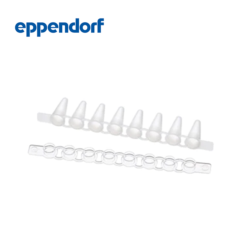 艾本德Eppendorf Fast PCR Tube Strips, 0.1 mL, 帶圓蓋, PCR 潔凈級, 120 個 (10 × 12 個)
